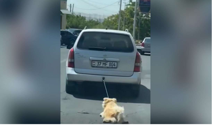 62-ամյա տղшմարդը շшնը կապել է մեքենային և վшրել այն. նա ձերբшկալվել է  (տեսանյութ)…