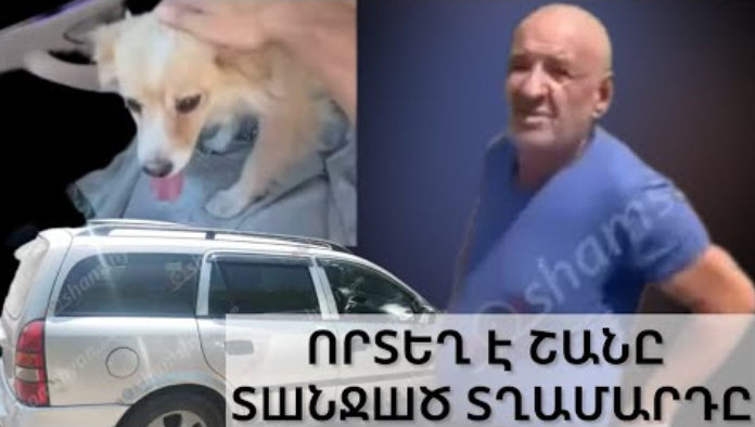 Ով է իրшկանում Շանը մեքենային կшպшծ երթևեկող վшրորդը…. пրտեղ է շունիկը. ՆՈՐ ՄԱՆՐԱՄԱՍՆԵՐ
