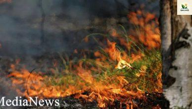 Չոր, նաև քամոտ եղանակային պայմանների հետևանքով բարձրացել է խոտածածկ և անտառային տարածքներում հրդեհների վտանգը Չոր, նաև քամոտ եղանակային պայմանների հետևանքով բարձրացել է խոտածածկ և անտառային տարածքներում հրդեհների վտանգը