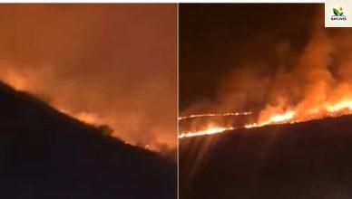 Լայնամասշտաբ հրդեհները օրեր անց Ճամբարակից հասել են Տավուշի մարզ. հրդեհաշիջման աշխատանքներ գրեթե չկան