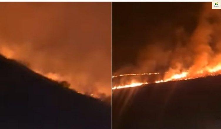 Լայնամասշտաբ հրդեհները օրեր անց Ճամբարակից հասել են Տավուշի մարզ. հրդեհաշիջման աշխատանքներ գրեթե չկան