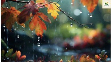 Կանձրևի՞․ ի՞նչ եղանակ սպասել նոյեմբերի 22-ից 26-ին Կանձրևի՞․ ի՞նչ եղանակ սպասել նոյեմբերի 22-ից 26-ին