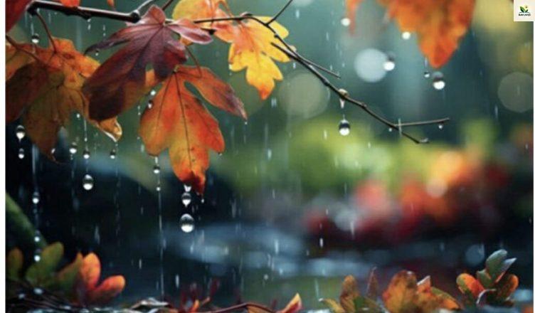 Կանձրևի՞․ ի՞նչ եղանակ սպասել նոյեմբերի 22-ից 26-ին