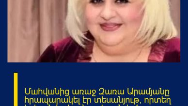 Մшhվшնից առաջ Զառա Արամյանը հրապարակել էր տեսանյութ, որտեղ երևուն էր խանութից գնված մթերքների արժեքը