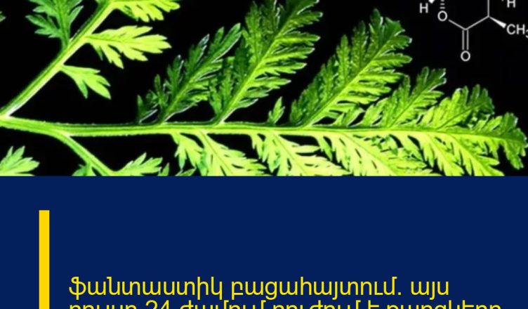 ֆանտաստիկ բացահայտում․ այս բույսը 24 ժամում բուժում է քաղցկեղը