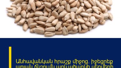 Անհավանկան հրաշք միջոց․ իջեցրեք արյան ճնշումն արևածաղկի սերմերի միջոցով