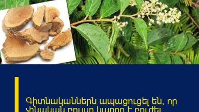 Գիտնականներն ապացուցել են, որ չինական բույսը կարող է բուժել քաղցկեղը 40 օրում