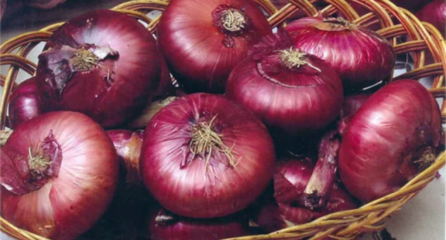 Բնական հզոր հակաբիոտիկ․ այն հրաշալի դեղամիջոց է բազմաթիվ հիվանդությունների դեպքում