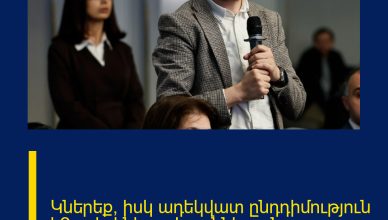 Կներեք, իսկ ադեկվատ ընդդիմություն ե՞րբ է լինելու. Իոաննիսյան