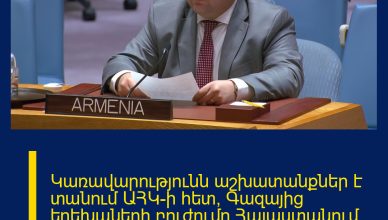 Կառավարությունն աշխատանքներ է տանում ԱՀԿ-ի հետ՝ Գազայից երեխաների բուժումը Հայաստանում կազմակերպելու նպատակով. Ժիրայր Անանյան