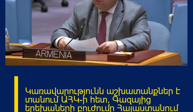 Կառավարությունն աշխատանքներ է տանում ԱՀԿ-ի հետ՝ Գազայից երեխաների բուժումը Հայաստանում կազմակերպելու նպատակով. Ժիրայր Անանյան