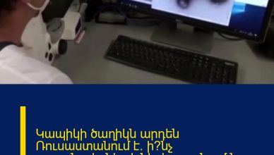 Կապիկի ծաղիկն արդեն Ռուսաստանում է. ի՞նչ սպառնալիքներ է ներկայացնում նոր վիրուսը Կապիկի ծաղիկն արդեն Ռուսաստանում է. ի՞նչ սպառնալիքներ է ներկայացնում նոր վիրուսը