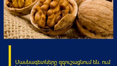 Մասնագետները զգուշացնում են. ում է հակացուցված ընկույզը