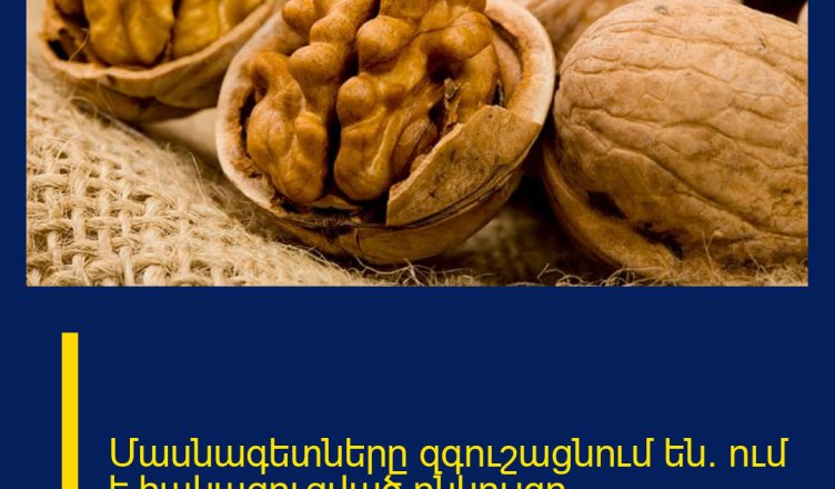 Մասնագետները զգուշացնում են. ում է հակացուցված ընկույզը