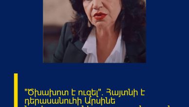«Ծխախոտ է ուզել». Հայտնի է դերասանուհի Արսինե Նավասարդյանի որդու սպանության պատճառը.