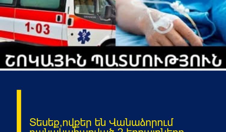 Տեսեք՝ովքեր են Վանաձորում դանակահարված 2 եղբայրները