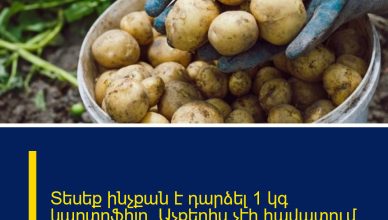 Տեսեք ինչքան է դարձել 1 կգ կարտոֆիլը․ Աչքերիս չէի հավատում, երբ գինը տեսա