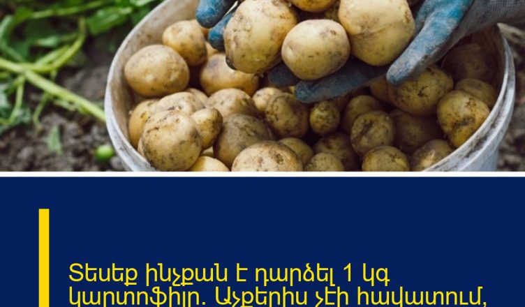 Տեսեք ինչքան է դարձել 1 կգ կարտոֆիլը․ Աչքերիս չէի հավատում, երբ գինը տեսա
