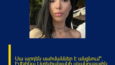 Սա արդեն սահմաններ է անցնում». Էվելինա Ստեփանյանի սկանդալային արձագանքը օգտատիրոջը