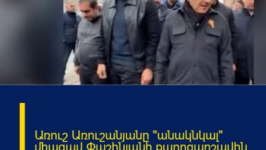 Առուշ Առուշանյանը «անակնկալ» միացավ Փաշինյանի քարոզարշավին ու…