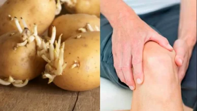 Մայրս տարիներ շարունակ տառապում էր հոդացավերից․ Նա բուժվեց կիրառելով այս պարզ ու հասարակ միջոցը, որը առկա է բոլորի տանը․․․