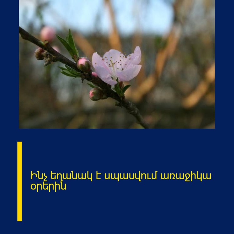 Ինչ եղանակ է սպասվում առաջիկա օրերին