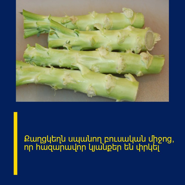 Քաղցկեղն uպանող բուսական միջոց, որ հազարավոր կյանքեր են փրկել