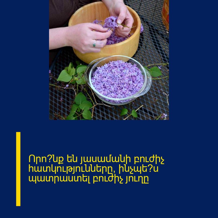 Որո՞նք են յասամանի բուժիչ հատկությունները, ինչպե՞ս պատրաստել բուժիչ յուղը