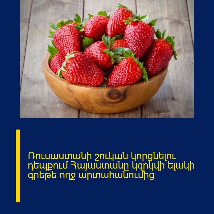 Ռուսաստանի շուկան կորցնելու դեպքում Հայաստանը կզրկվի ելակի գրեթե ողջ արտահանումից