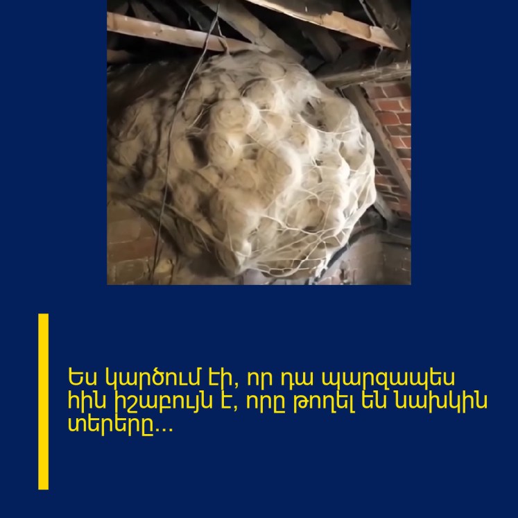 Ես կարծում էի, որ դա պարզապես հին իշաբույն է, որը թողել են նախկին տերերը… Ես կարծում էի, որ դա պարզապես հին իշաբույն է, որը թողել են նախկին տերերը…