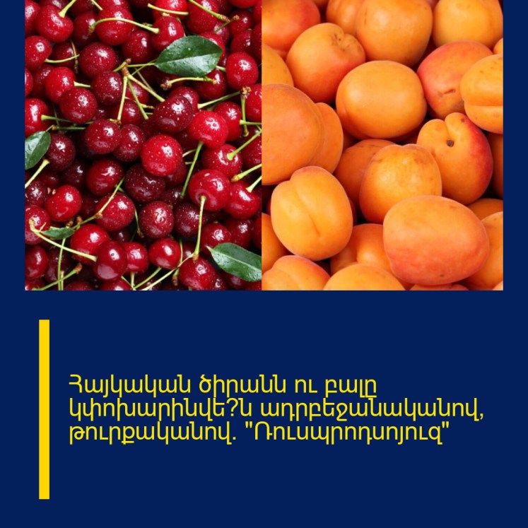 Հայկական ծիրանն ու բալը կփոխարինվե՞ն ադրբեջանականով, թուրքականով․ «Ռուսպրոդսոյուզ» Հայկական ծիրանն ու բալը կփոխարինվե՞ն ադրբեջանականով, թուրքականով․ «Ռուսպրոդսոյուզ»