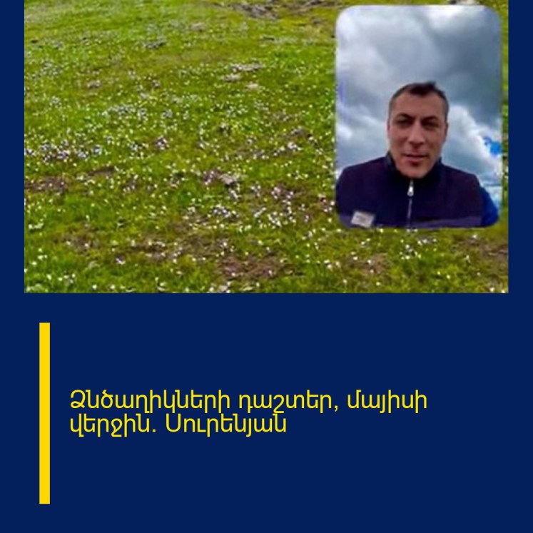Ձնծաղիկների դաշտեր, մայիսի վերջին․ Սուրենյան Ձնծաղիկների դաշտեր, մայիսի վերջին․ Սուրենյան