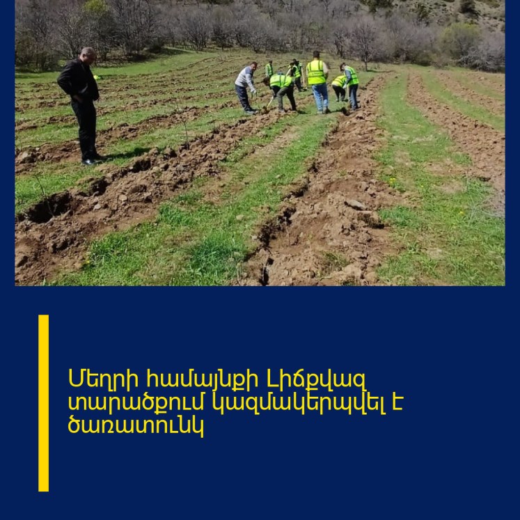 Մեղրի համայնքի Լիճքվազ տարածքում կազմակերպվել է ծառատունկ Մեղրի համայնքի Լիճքվազ տարածքում կազմակերպվել է ծառատունկ