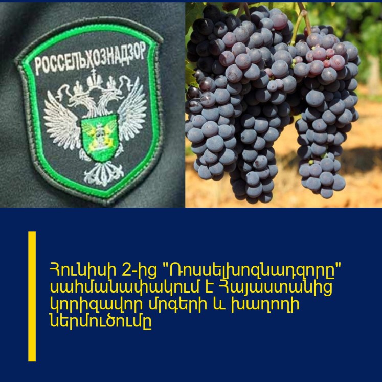 Հունիսի 2-ից «Ռոսսելխոզնադզորը» սահմանափակում է Հայաստանից կորիզավոր մրգերի և խաղողի ներմուծումը Հունիսի 2-ից «Ռոսսելխոզնադզորը» սահմանափակում է Հայաստանից կորիզավոր մրգերի և խաղողի ներմուծումը