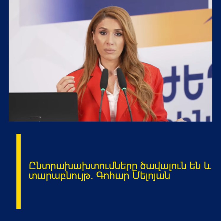 Ընտրախախտումները ծավալուն են և տարաբնույթ. Գոհար Մելոյան